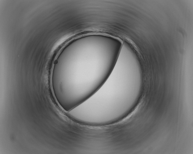 X0000113981114200910020943