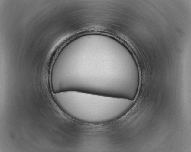 X0000113981115200910020943