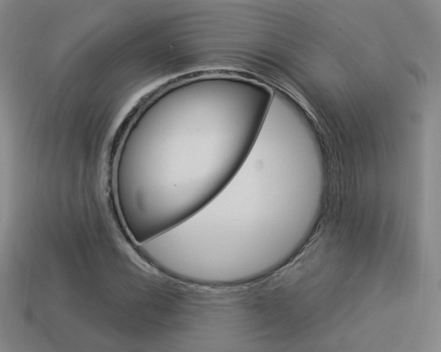 X0000113981116200910020943