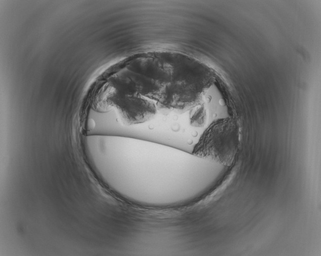 X0000113981117200910020943