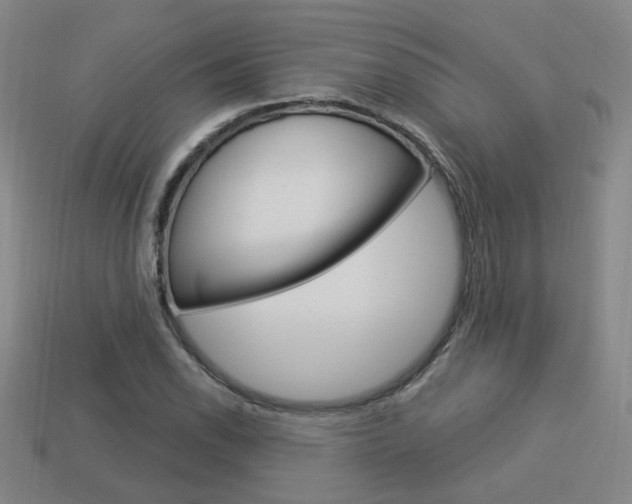 X0000113981118200910020943