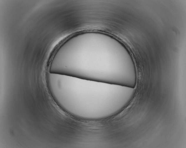 X0000113981119200910020943