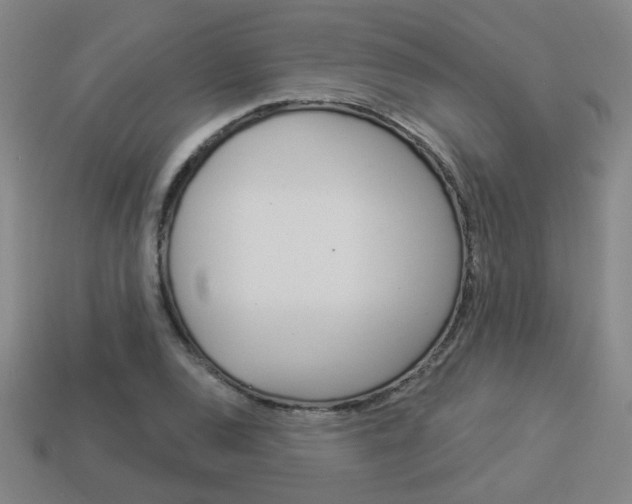 X0000113981120200910020943