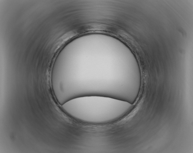 X0000113981121200910020943