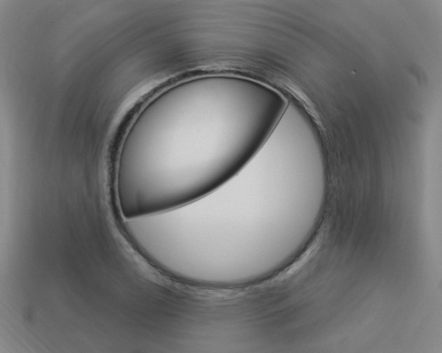 X0000113981122200910020943