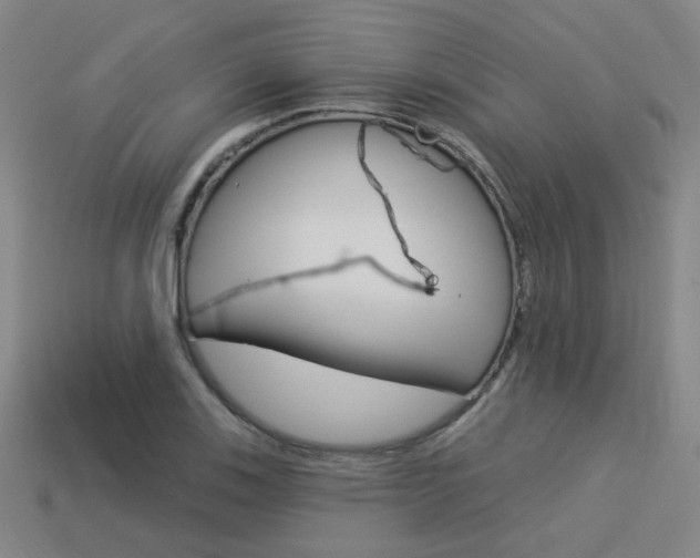 X0000113981123200910020943