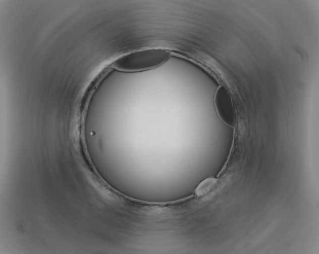 X0000113981124200910020943