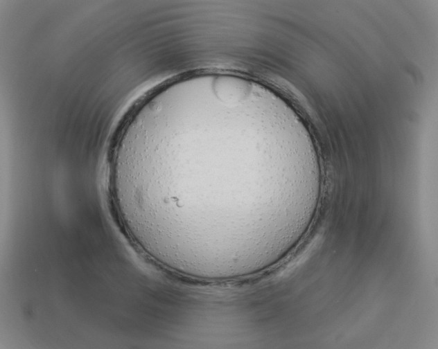X0000113981125200910020943
