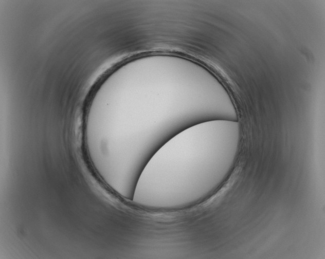 X0000113981126200910020943