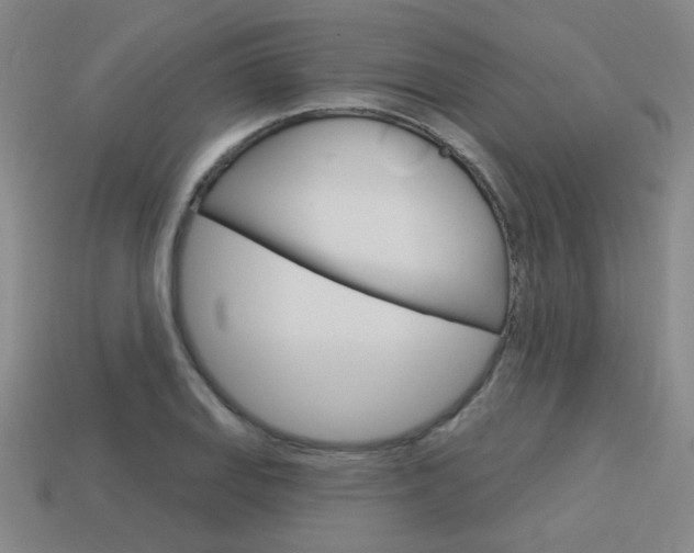 X0000113981127200910020943