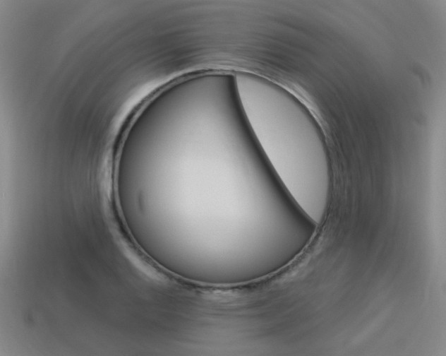 X0000113981128200910020943