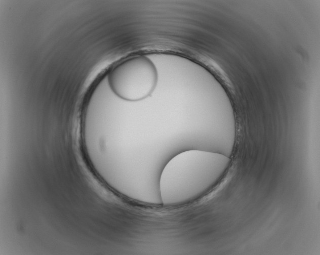 X0000113981130200910020943