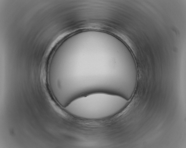 X0000113981131200910020943