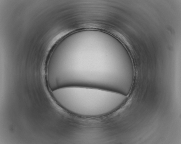 X0000113981133200910020943