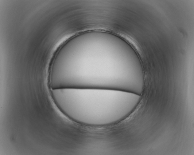 X0000113981135200910020943