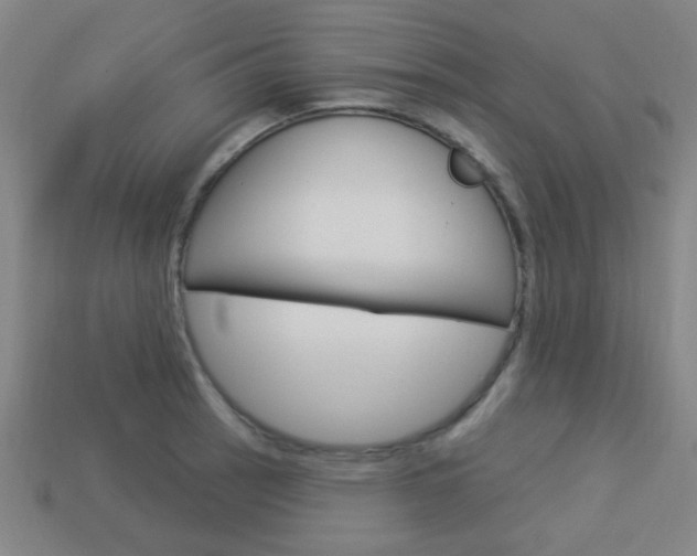 X0000113981137200910020943