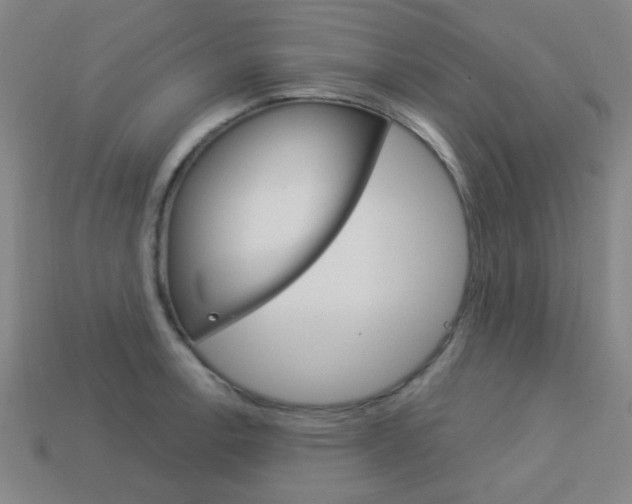 X0000113981138200910020943