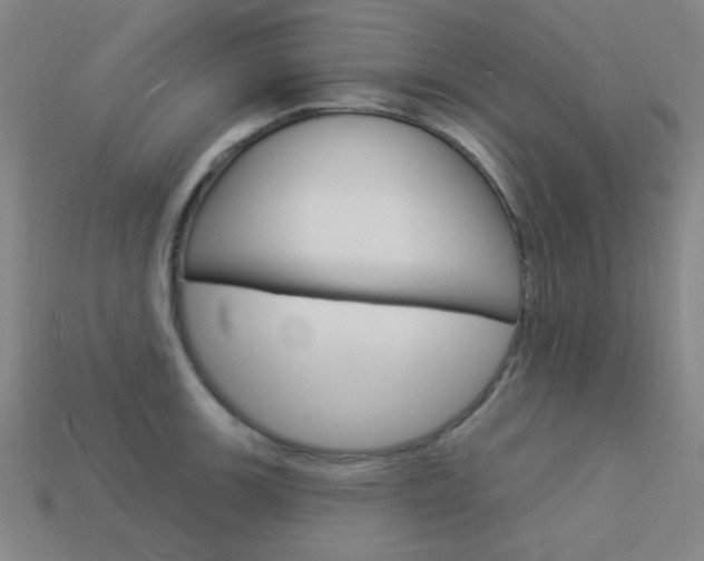 X0000113981139200910020944