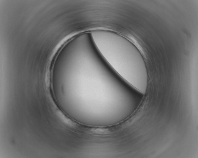 X0000113981140200910020944