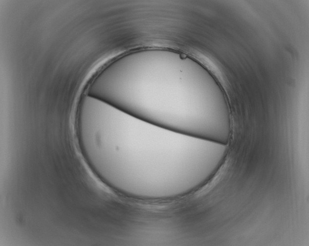 X0000113981141200910020944