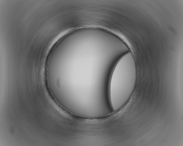 X0000113981142200910020944