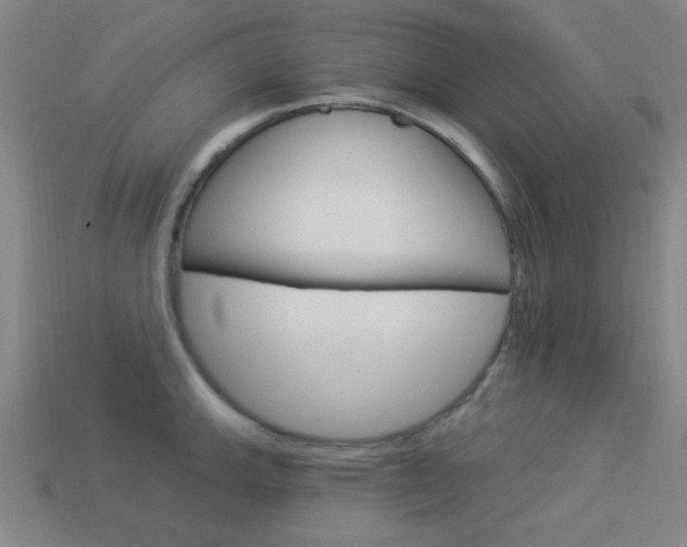 X0000113981143200910020944