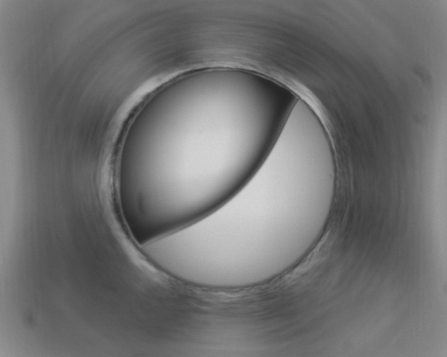 X0000113981144200910020944