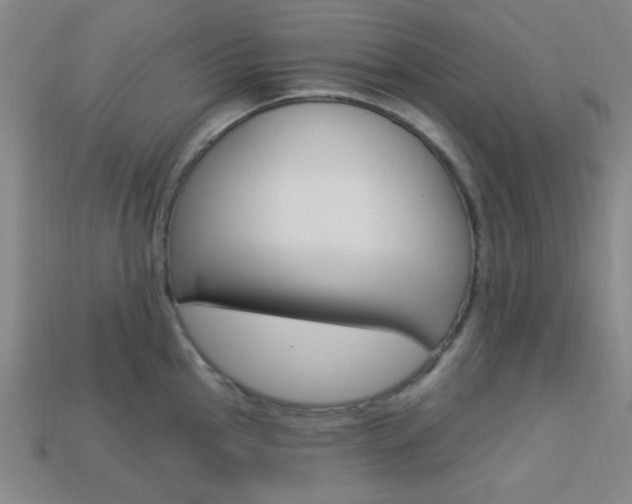 X0000113981145200910020944