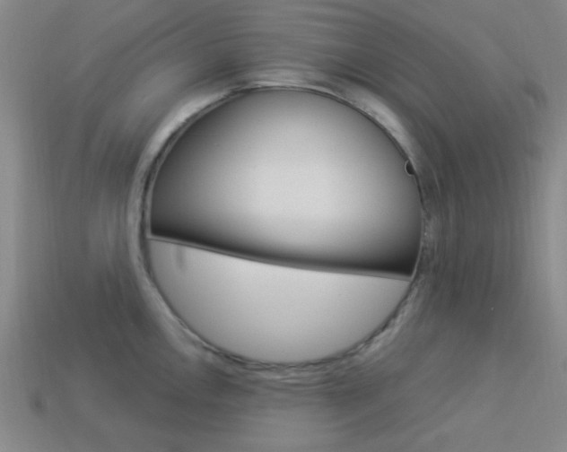 X0000113981146200910020944