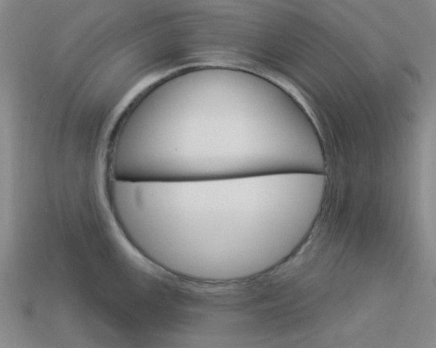 X0000113981147200910020944