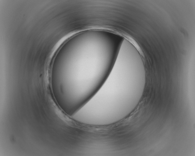 X0000113981148200910020944