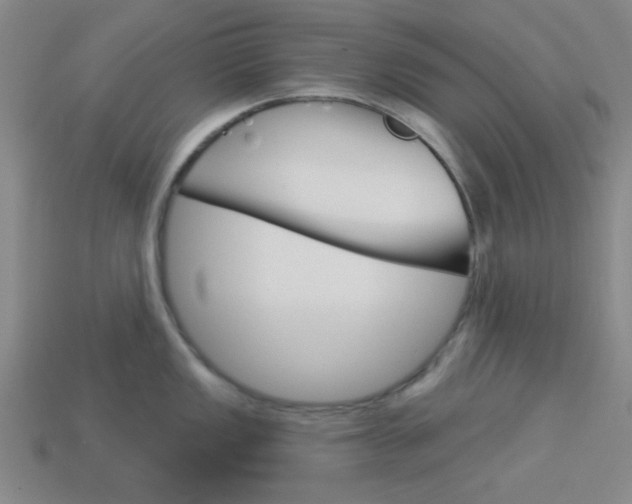 X0000113981149200910020944