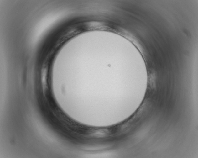 X0000113981150200910020944