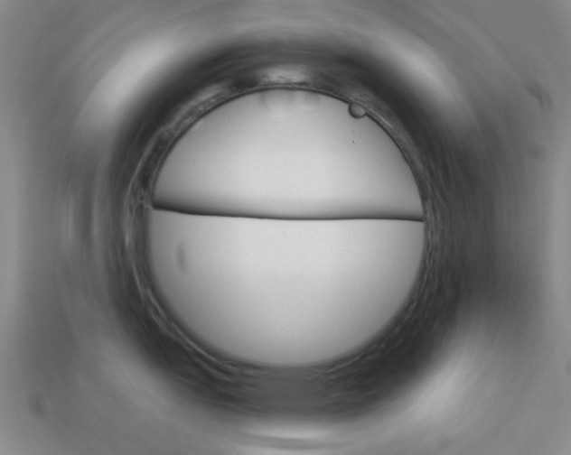 X0000113981151200910020944