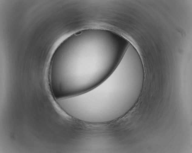 X0000113981152200910020944