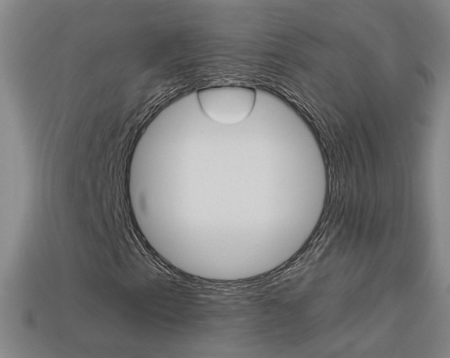 X0000113981153200910020943