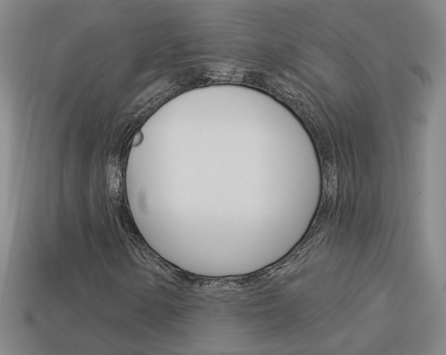 X0000113981154200910020943