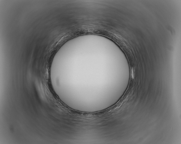 X0000113981155200910020943