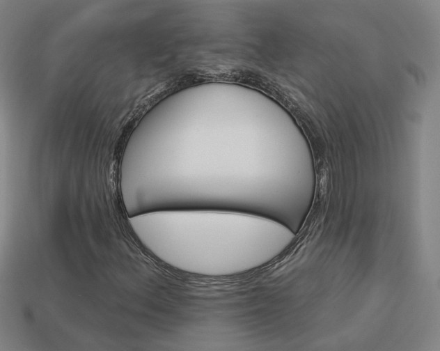 X0000113981156200910020943