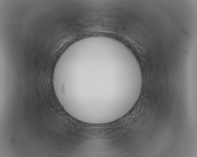 X0000113981157200910020943