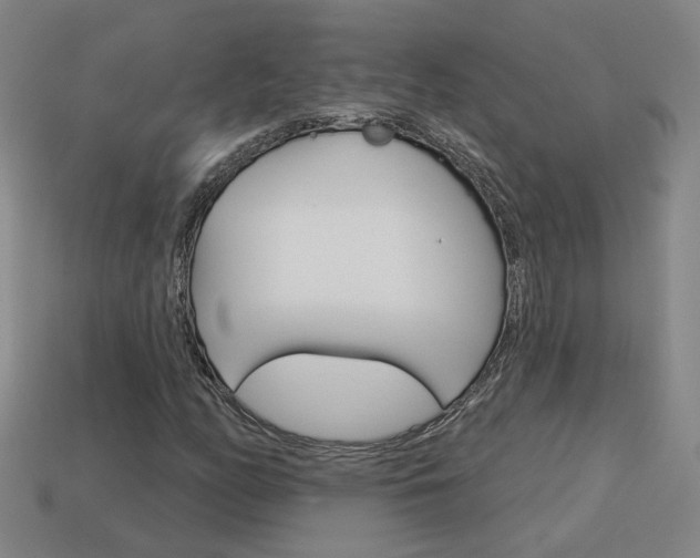 X0000113981158200910020943