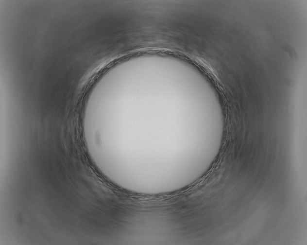 X0000113981159200910020943