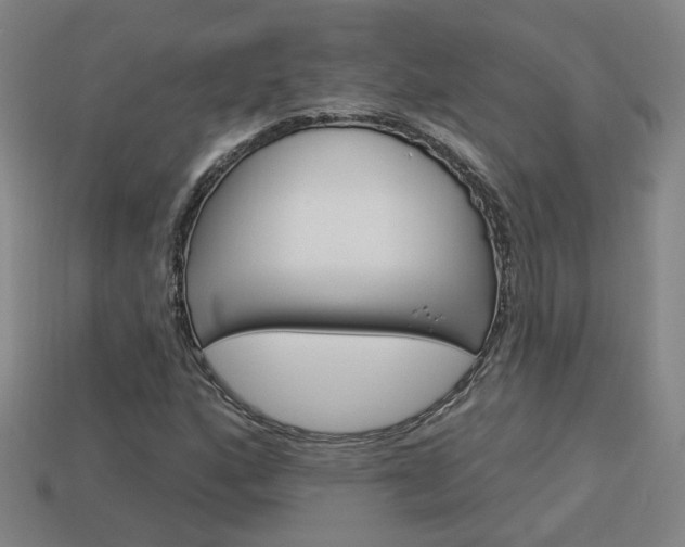 X0000113981160200910020943