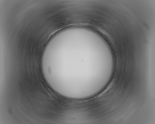 X0000113981161200910020943
