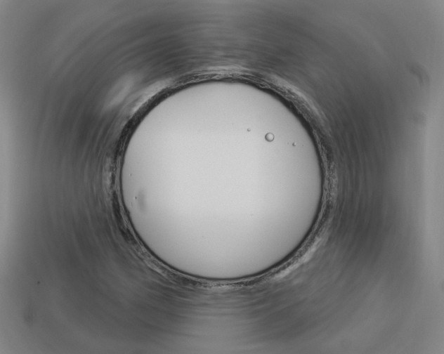X0000113981162200910020943