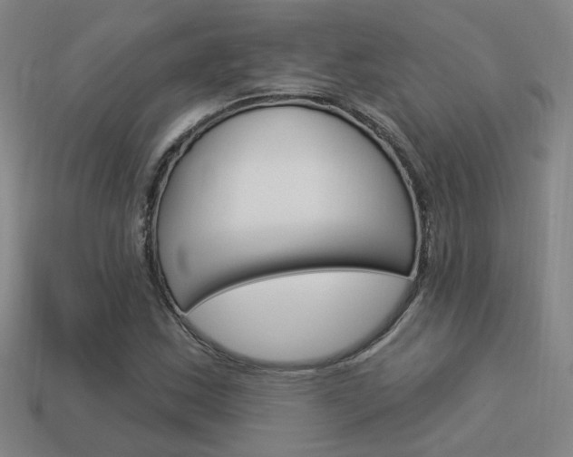 X0000113981163200910020943