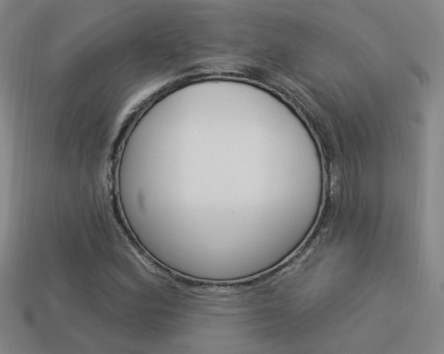 X0000113981164200910020943