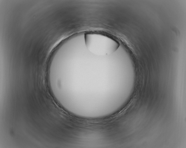 X0000113981165200910020943