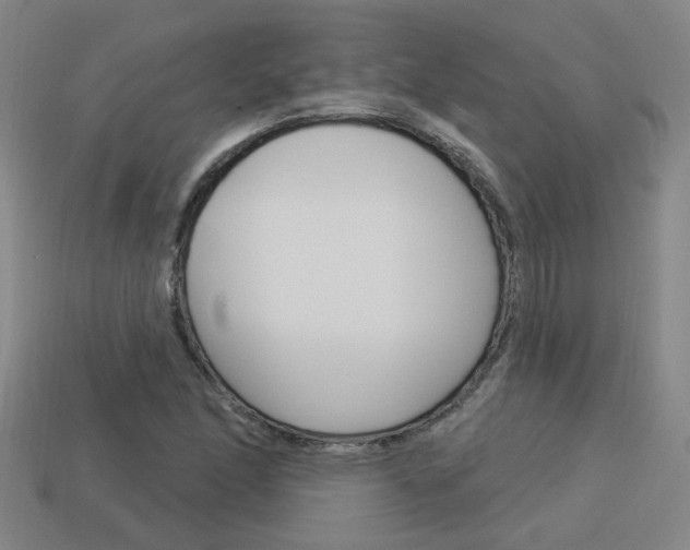 X0000113981166200910020943