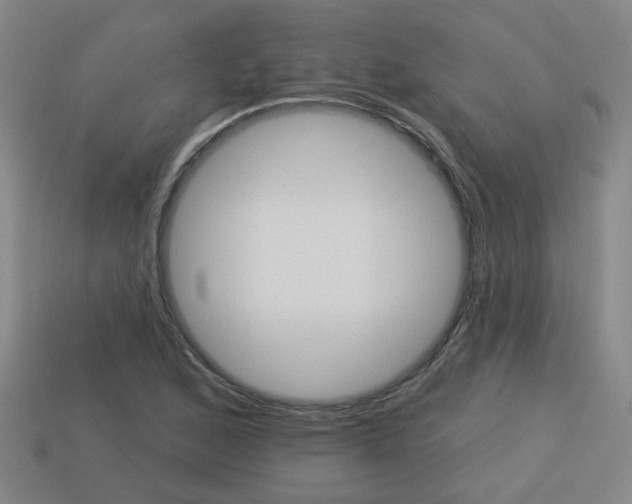 X0000113981168200910020943